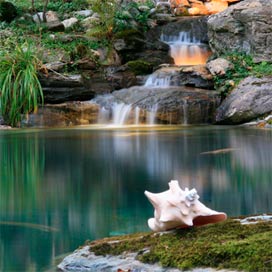 jardin avec piscines a déversement